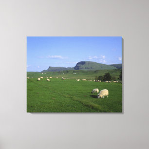 The Quiraing Mountains, Isle of Skye, Highlands, Canvas Print