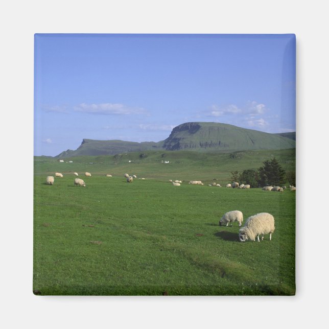 The Quiraing Mountains, Isle of Skye, Highlands, Magnet (Front)