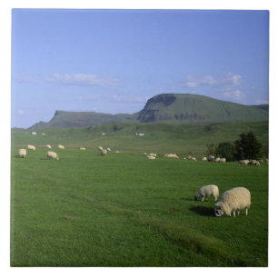 The Quiraing Mountains, Isle of Skye, Highlands, Tile
