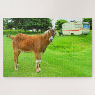 THE QUIRKY GOAT 20x30 INCH Jigsaw Puzzle