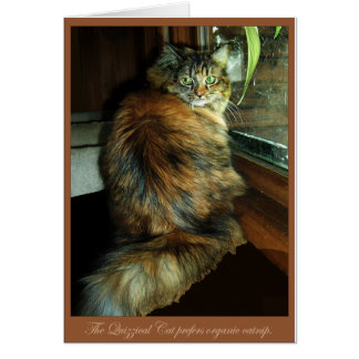 The Quizzical Cat