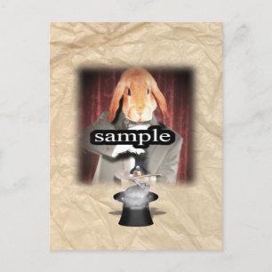 The Rabbit & the Magic Hat Photo Frame Postcard