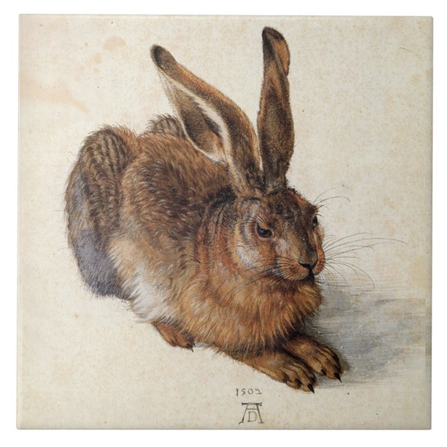 THE RABBIT ( Young Hare ) by Albrecht Durer Tile (Front)