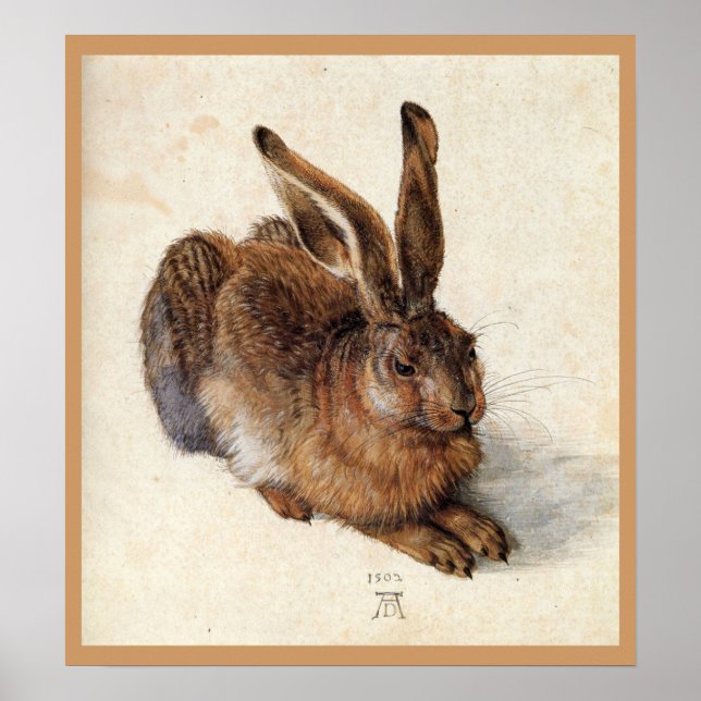THE RABBIT ( Young Hare ) Poster (Front)