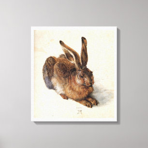 THE RABBIT ( Young Hare ),white Canvas Print