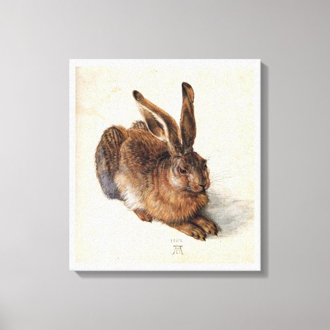 THE RABBIT ( Young Hare ),white Canvas Print (Front)