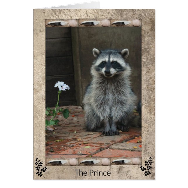 The Raccoon Prince (Front)