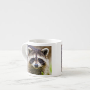 The raccoon, Procyon lotor Espresso Cup