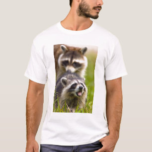 The raccoon, Procyon lotor, is a widespread, T-Shirt