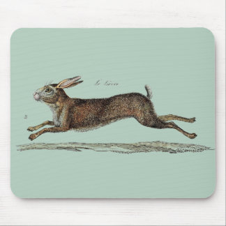 The Racing Hare at Easter Mouse Pad