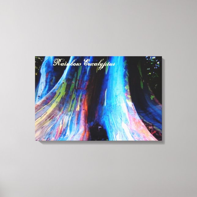 The Rainbow Eucalyptus Tree of Hawaii Canvas Print (Front)
