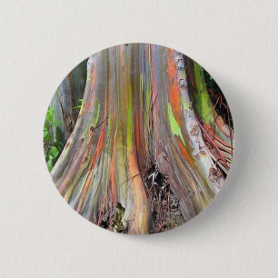 The Rainbow Eucalyptus Tree Products 2 Inch Round Button
