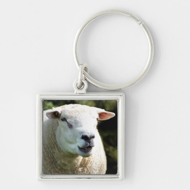 THE RAM KEYCHAIN (Front)