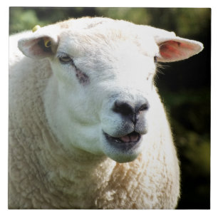 THE RAM TILE