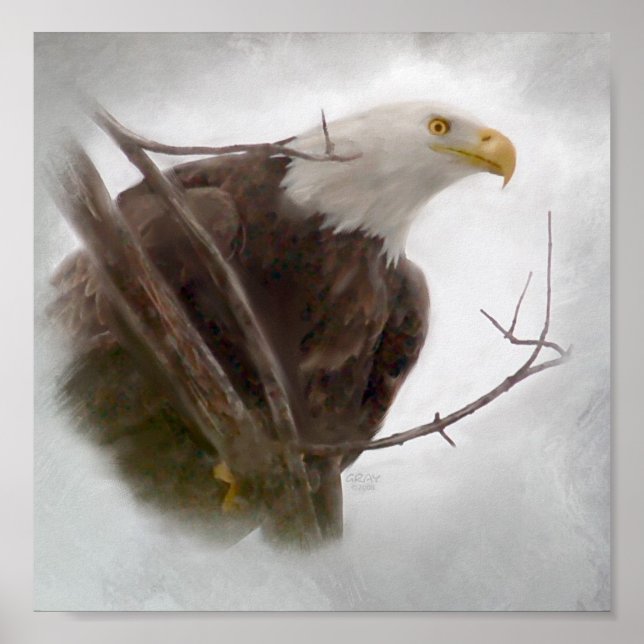 The Raptor Poster (Front)