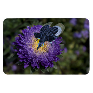 The Rare Blue Bugphant Magnet