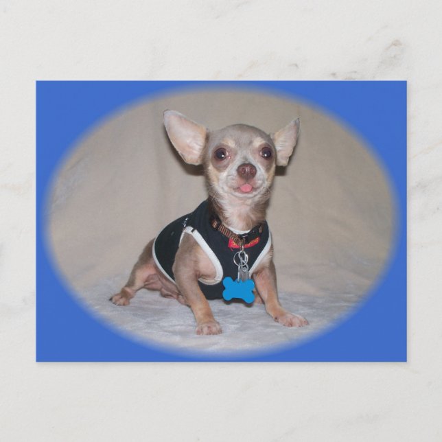 The Raspberry Opinion Postcard (Front)