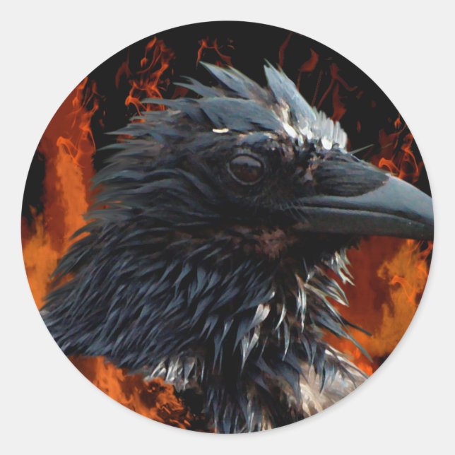 "The Raven Fire" Gifts Classic Round Sticker (Front)