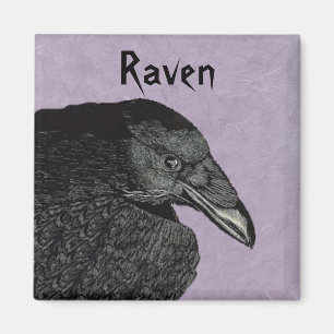 The Raven Magnet