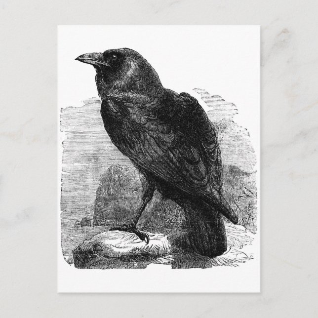 The Raven Postcard (Front)