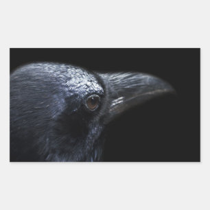 The Raven Sticker