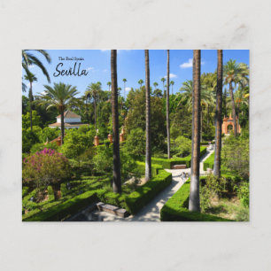 The Real Spain- Sevilla Postcard