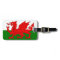 The Red Dragon [Flag of Wales]