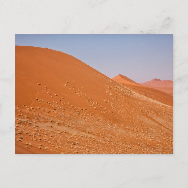 The red dunes of Sossusvlei Postcard (Front)