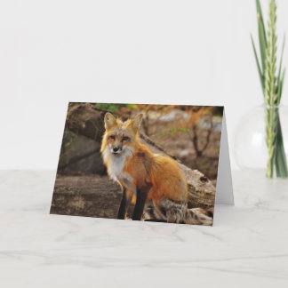 The Red Fox Valentine Card