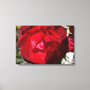 The red of autumn canvas print