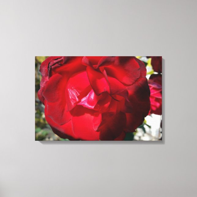 The red of autumn canvas print (Front)