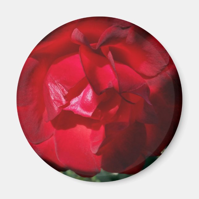 The red of autumn magnet (Front)