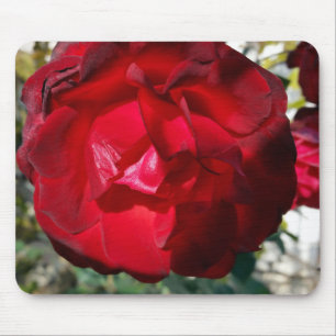 The red of autumn mouse pad