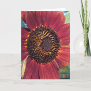 The Red Sunflower Birthday Card