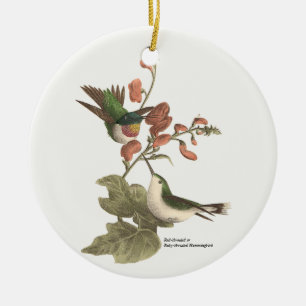 The Red-throated or Ruby-throated Hummingbird Ceramic Ornament