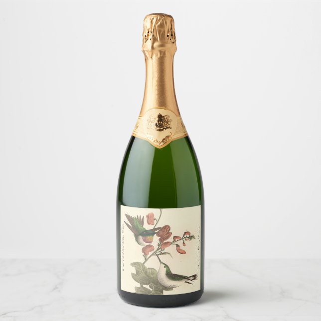 The Red-throated or Ruby-throated Hummingbird Sparkling Wine Label (Front)