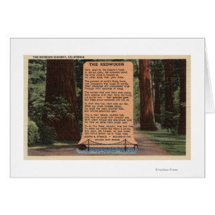 The Redwood Highway, Poem by Strauss