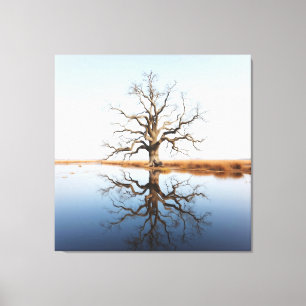 The Reflections Canvas Print