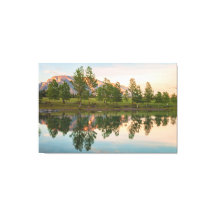 The Reflections 