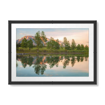 The Reflections 