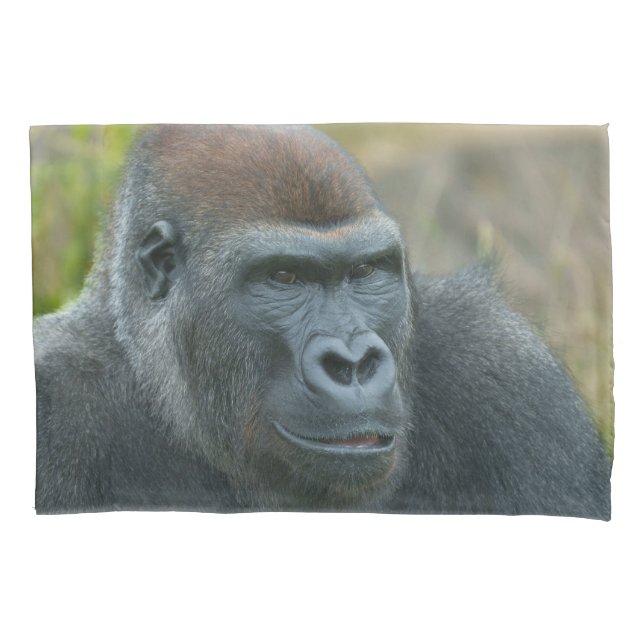 The Regal Blackback Gorilla Pillowcase (Front)