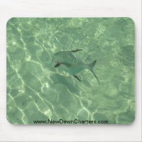 The Release