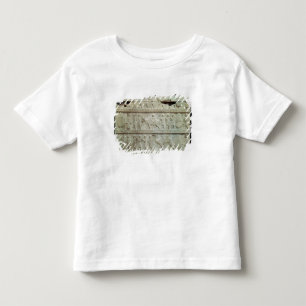 the relief frieze on the East stairway Toddler T-shirt