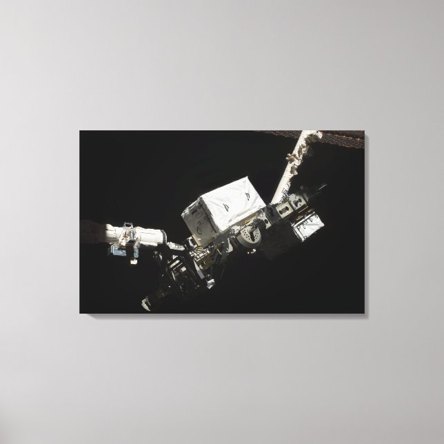 The Remote Manipulator System robotic arm Canvas Print (Front)