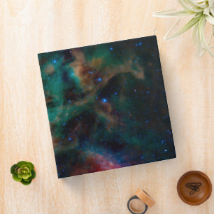 The Rho Ophiuchi Cloud Complex. Binder