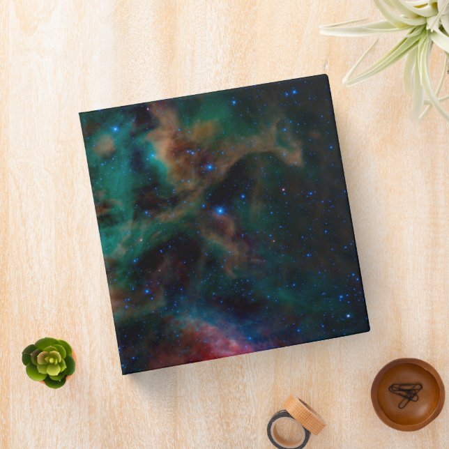 The Rho Ophiuchi Cloud Complex. Binder (In Situ)