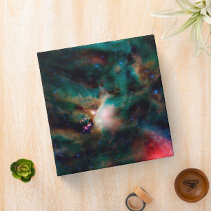 The Rho Ophiuchi Cloud Complex. Binder