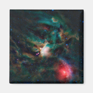 The Rho Ophiuchi Cloud Complex. Magnet