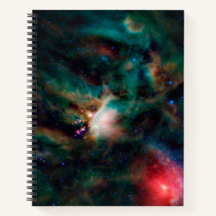 The Rho Ophiuchi Cloud Complex. Notebook