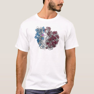 The Ribosome - smaller T-Shirt